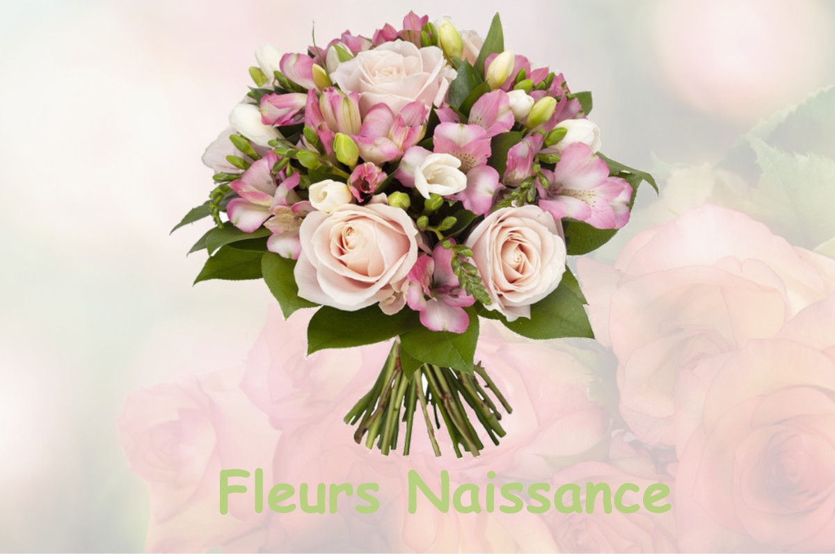 fleurs naissance LE-NEUFBOURG